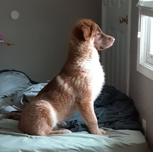 Meet your Posher, Mike